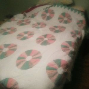 Meet your Posher, Wilma